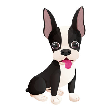 Cute Boston terrier cool sweet puppy sitting with tongue in cartoon style isolated on white background. Cute dog, print design
