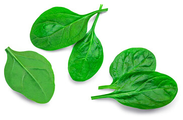 Set of Baby spinach leaf isolated on white background. Close up. Collection. attern