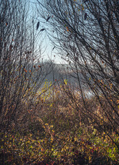 Fototapeta premium Sunrise on river