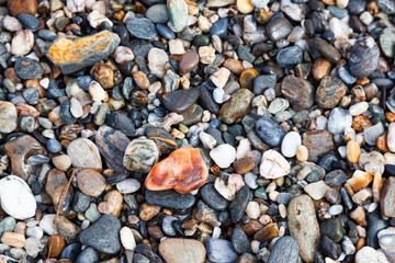 Background of sea stones. Stones of different shapes, sizes and colors on the seashore, close-up.