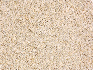 white sesame seeds as background, Top View