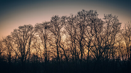 Sunrise on river