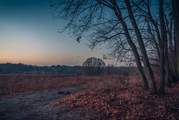 Naklejka premium Sunrise on river