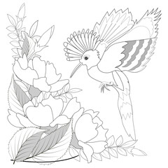 Bird hoopoe, leaves and flowers for coloring book page. Vector illustration. © Евгений Горячев
