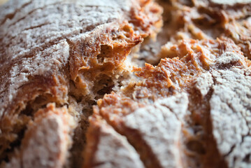 close-up of the fresh baked bread