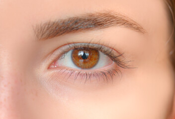 Fototapeta premium Close-up beautiful girl hazel eye with round glare in the eyes of the ring flash