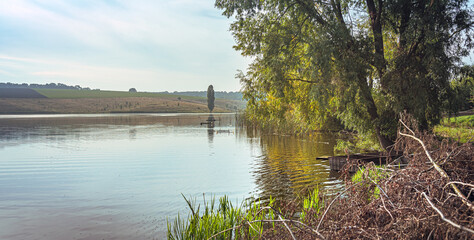 Summer landscape