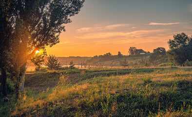 Nature in morning