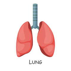 Lung of human . Cartoon design . Isolated . Vector .