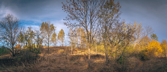 Faded nature in late summer and autumn