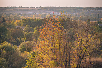 Faded nature in late summer and autumn