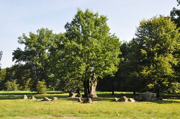Park Mużakowski w stylu angielskim, Łęknica, przyroda, bad muskau,  nad rzeką Nysą Łużycką  w województwie lubuskim