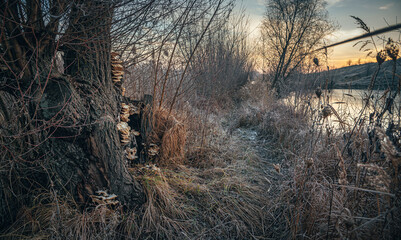 Winter sunrise on river