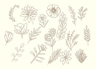 doodle flowers vector had drawn