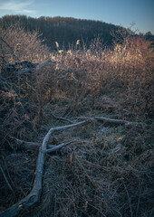 Winter sunrise on river