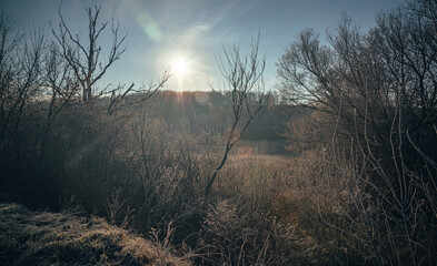 Winter sunrise on river