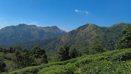 Fototapeta na wymiar Ponmudi hill station, western ghats mountain range, Thiruvananthapuram, Kerala