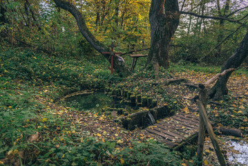 Faded nature in late summer and autumn
