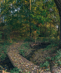 Faded nature in late summer and autumn
