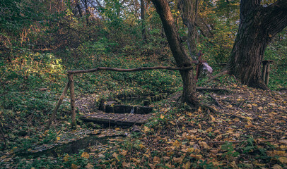 Faded nature in late summer and autumn