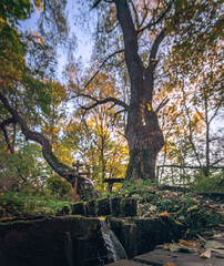 Faded nature in late summer and autumn