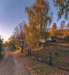 Faded nature in late summer and autumn