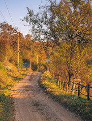 Faded nature in late summer and autumn