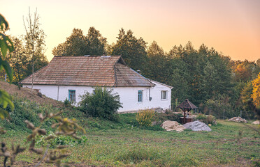 Faded nature in late summer and autumn