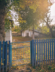 Faded nature in late summer and autumn
