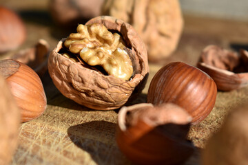 Opened walnuts and hazlenuts on wood