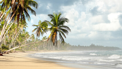 Large wild tropical deserted beach without people. Coconut palms are tilted over the shore. Large waves of turquoise sea on the sand