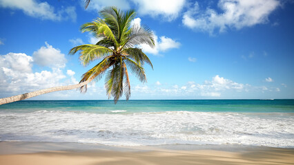 Fototapeta na wymiar Tilted palm tree over the seashore of wild deserted beach. Big waves of turquoise sea on the yellow sand