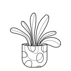 Home flower in a cute pot.  Black and white vector image. Coloring.