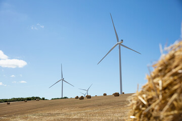 wind turbines in the field