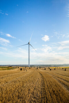 wind turbines in the field