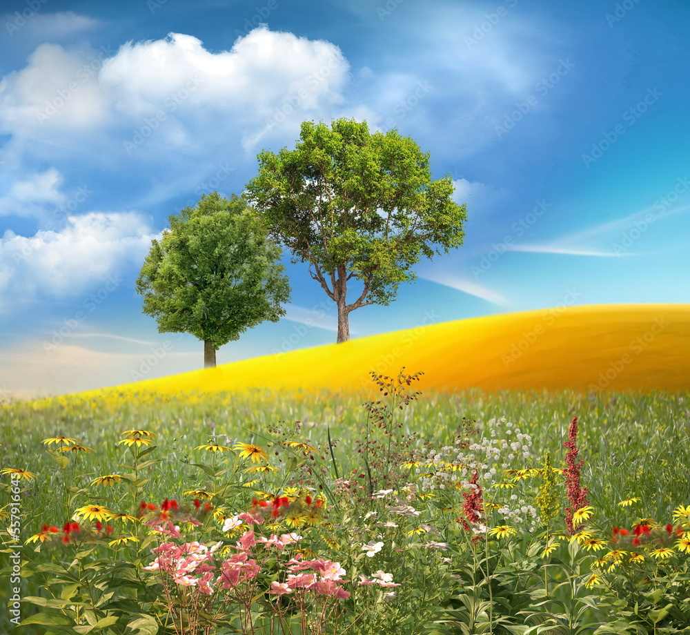 Wall mural meadow of wheat trees and wild flowers on field sunslight blue sky with white clouds summer banner