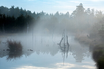 Nebliger Morgen im Wenger Moor, ein Hochmoor im Salzburger Land, Österreich 