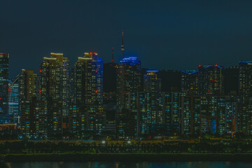 Naklejka premium 네온