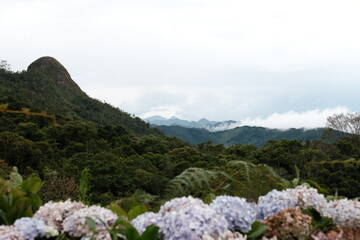 Tropical Mountain in Brazil