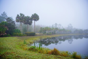 The morning fog landscape in Florida community