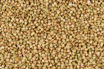 organic bio buckwheat