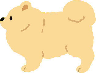 Simple and cute illustration of Pomeranian in side view flat colored