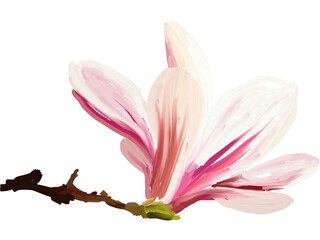 Naklejka premium Pink magnolia flower, blossom hand drawn flower