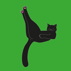 black cat , cat`s paws