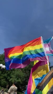 LGBTQ Pride and Trangender Flags