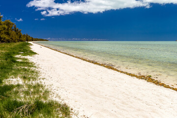 Grande plage de sable blanc déserte au bord d'un lagon tropical turquoise, bordée de filaos. Rodrigues