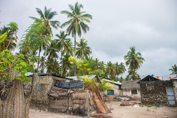 Jambiani Zanzibar Tanzanie