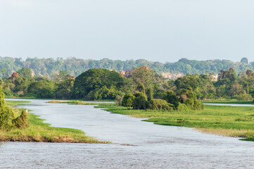 Tropical water landscape of the Rio Amazonas in Brazil seen from a cruise ship during a trip from...