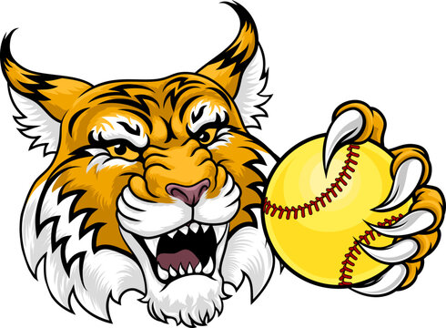 A wildcat or bobcat animal softball sports team cartoon mascot