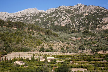 Fototapeta na wymiar Sierra tramontana, Majorca